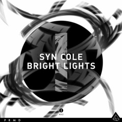 Syn Cole - Bright Lights (Avicii Unreleased Remix V2) [Remake]