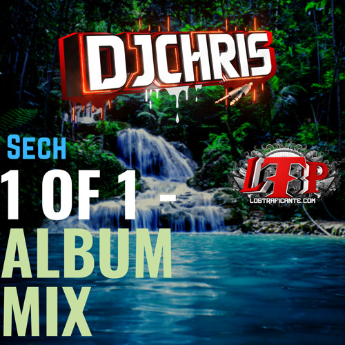 1 Of 1 - Sech (Album Mix) - DJChris
