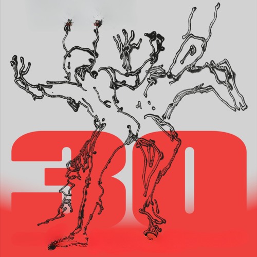 p/kstr - Nation of Gondwana 2024