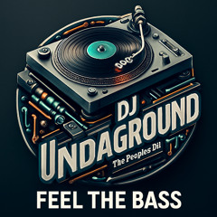 Dj Undaground presents The RIB Feat Pope Sinatra