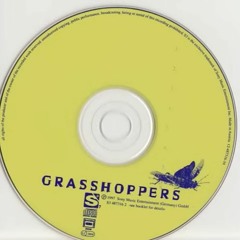 Grasshoppers - Grasshoppers [FULL ALBUM]