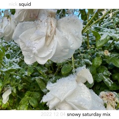 2022 12 03 snowy saturday mix