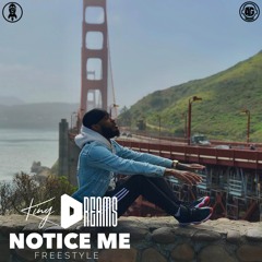 Notice Me (Freestyle)