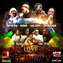 ONE LOVE THE EXPERIENCE CONCERT PROMO | REGGAE MIX
