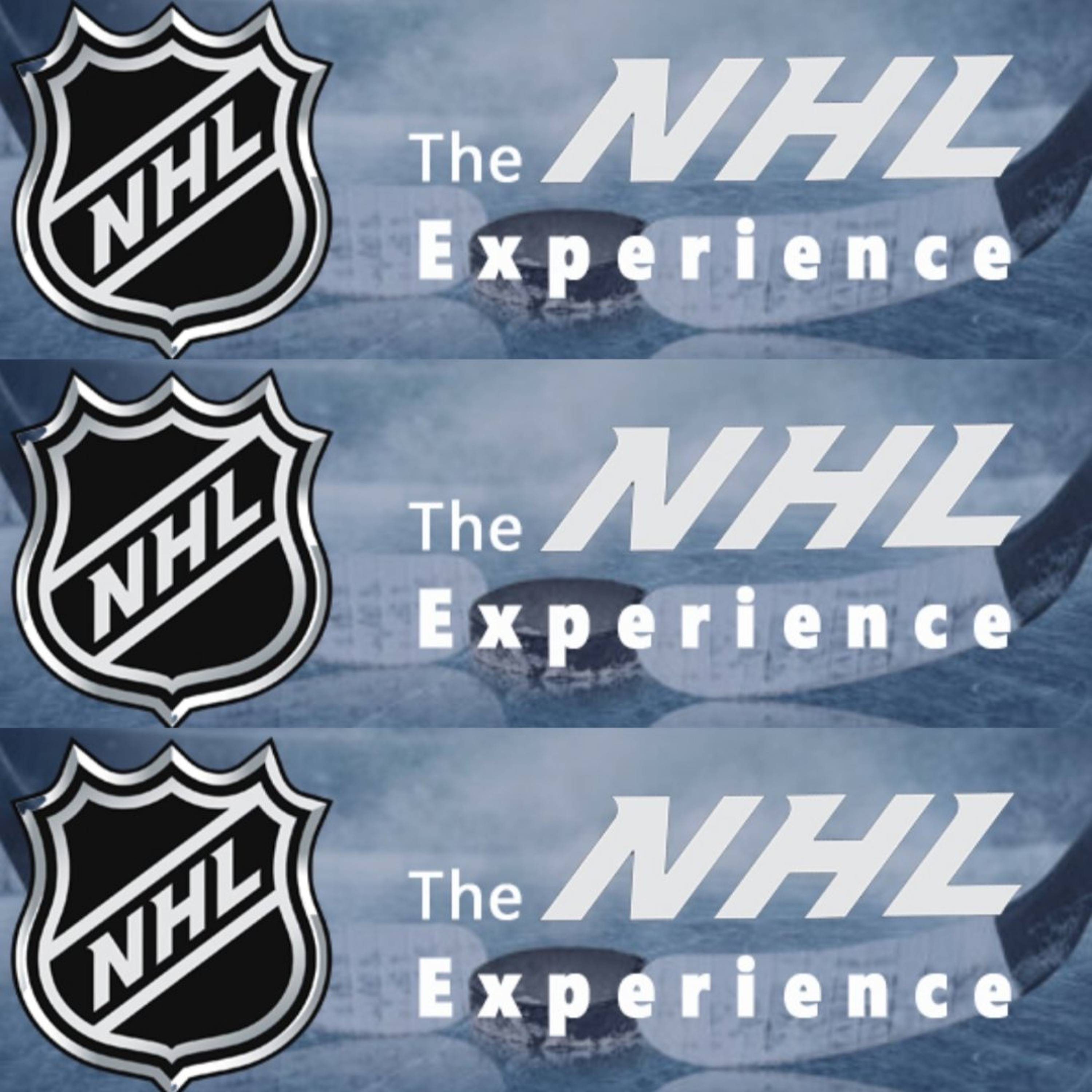 Friday, July 24:  The NHL Experience episode artwork