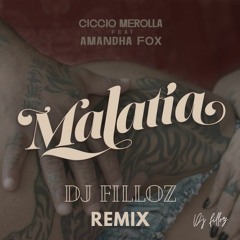 Ciccio Merolla - malatìa (dj filloz mashup)