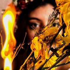 Where I Am Looking Now