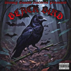 Black Bird
