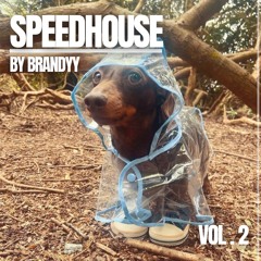 Speed House Vol. 2