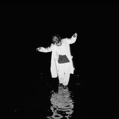 NT LK US (West Coast Diss Remix) ft. Snoop Dogg, Westside Connection, etc