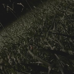 Cogitationis (prod. @majinbuddhist)