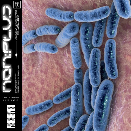 Non:Plus - Archaea [II216D]