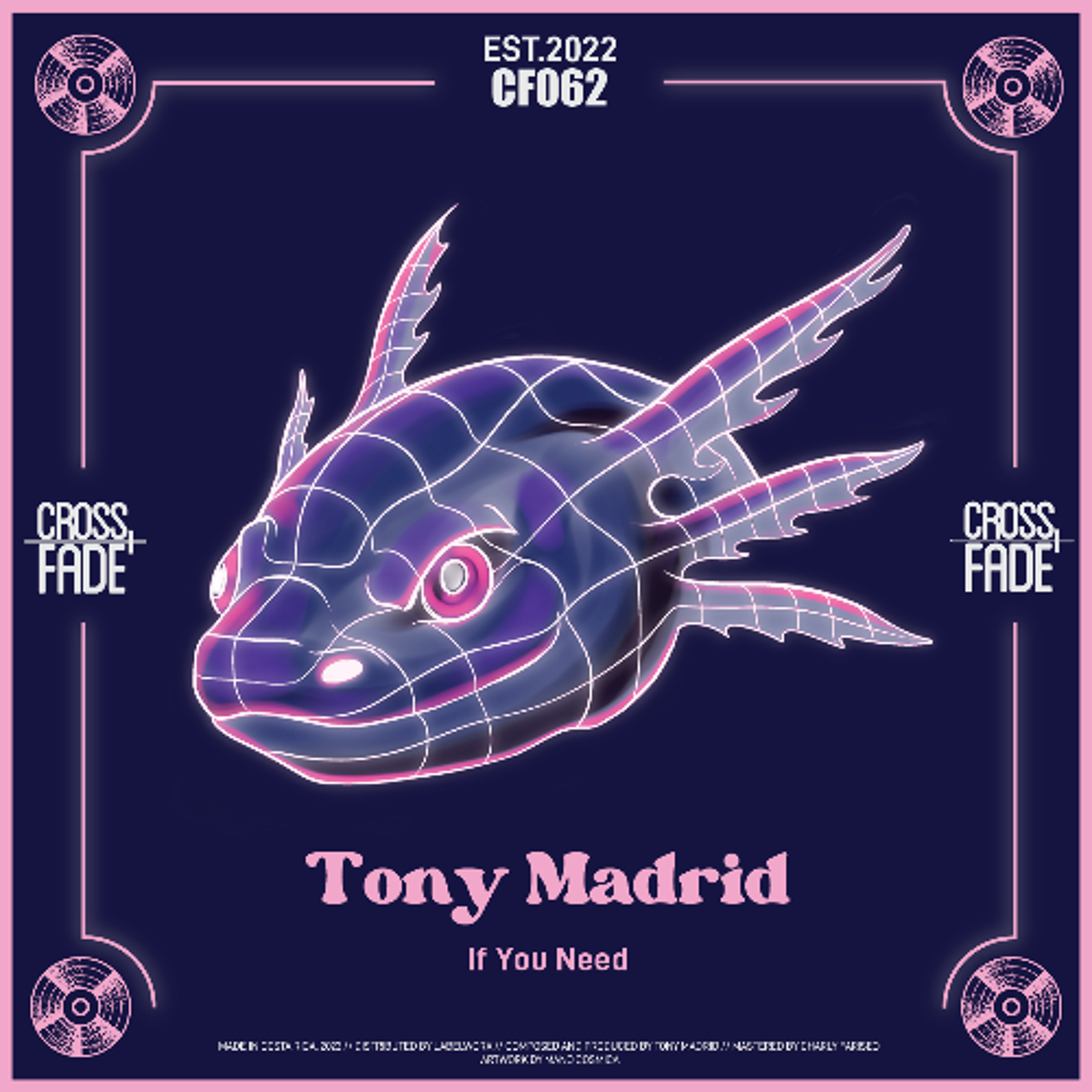 PREMIERE: Tony Madrid - If You Need [Cross Fade Records]