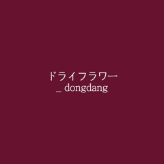 ドライフラワー/드라이플라워 _ dongdang