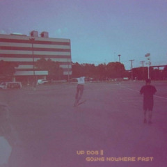 Up Dog – In The Room