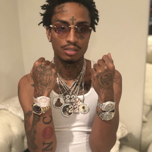 22 - (NSC Boonie x NSC Mike X NSC Steep X NSC Weez)