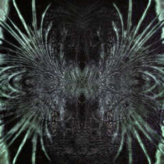 Qi - Fumarole