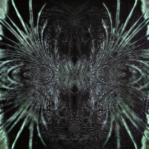 🐉