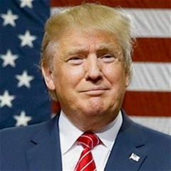 [no au]Trump Megalovania FALL OF THEIR FREEDOM (TLAI72 cover)