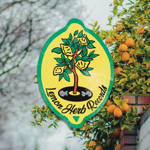 Techu - Dimensionality [LHR008]