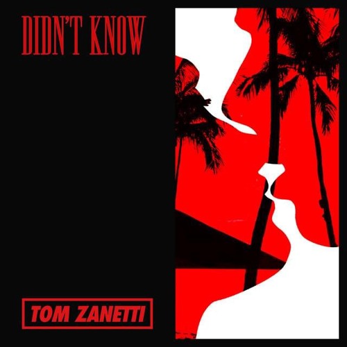 Tom Zanetti - Didn't Know (Tyler0112 remix)