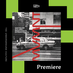 PREMIERE: Bright Clouds - Exotic Moonlight [DSRPTV Records]