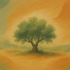 Wish fom the Olives Tree