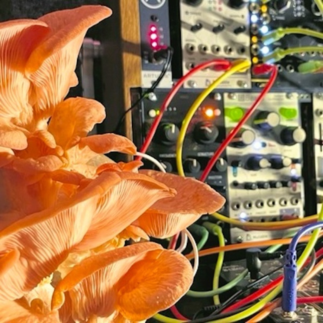 Stream Mushroom Jazz 26 – Mark Farina by OpenLab Radio | Listen
