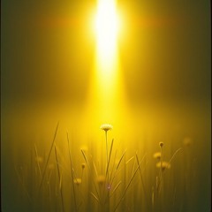 my_little_blessing_1f6236b5-98f5-42f9-897c-8e769d46d62b.mp3