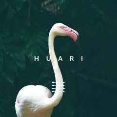 HITA DEL CID - HUARI