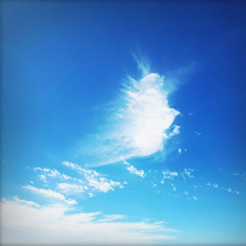 Strangely Calm and Placid Days [disquiet0616]
