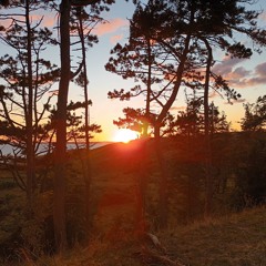 🦺 🩺 closed way home 🧌 - 🧃tryin to relax in a hurry 🚧⛽