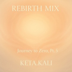 REBIRT MIX · Journey to Zero, Pt. 5
