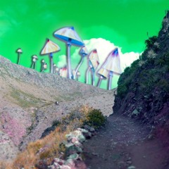 Psychedelic Voyage [Ambient MIX]