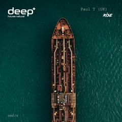 Paul T (UK) - Rise (Original Mix) DHN178