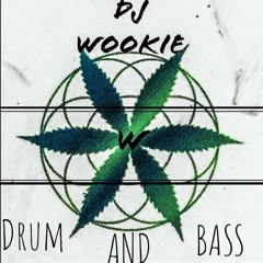 DJ-Wookie  -  Return of the W   2K21.mp3