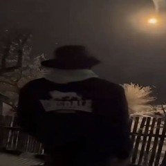 DJ Gollum feat Scarlet - All the things she said. Remix (Slowed)