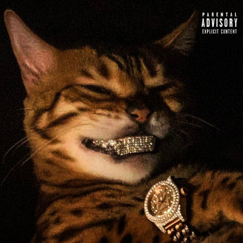 MONTA NA GARUPA - DJ GUSTOMARES