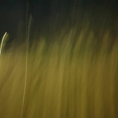 IN MY HEAD (feat.RHODY)