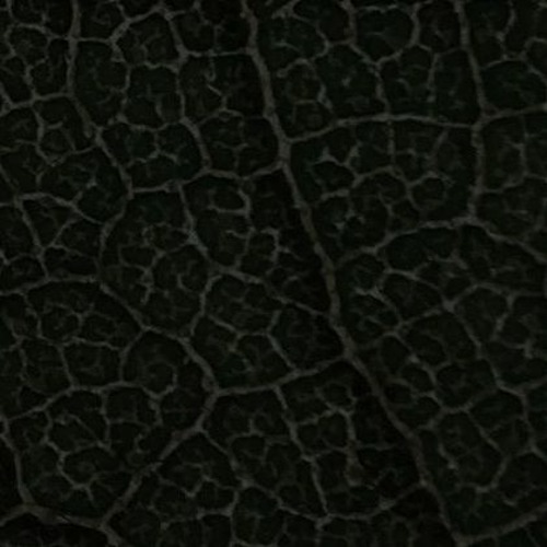 Twins Father - Night tales (Original mix) -- FREE DOWNLOAD --