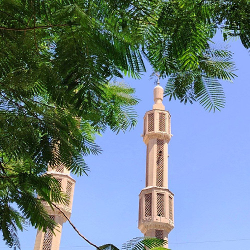 وأمر أهلك بالصلاة واصطبر عليها