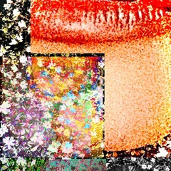 Lord Hidetora - The Birds & The Beasts