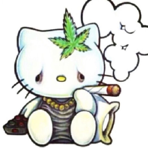 Kitty meow best sale meow