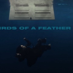 Billie Eilish - BIRDS OF A FEATHER