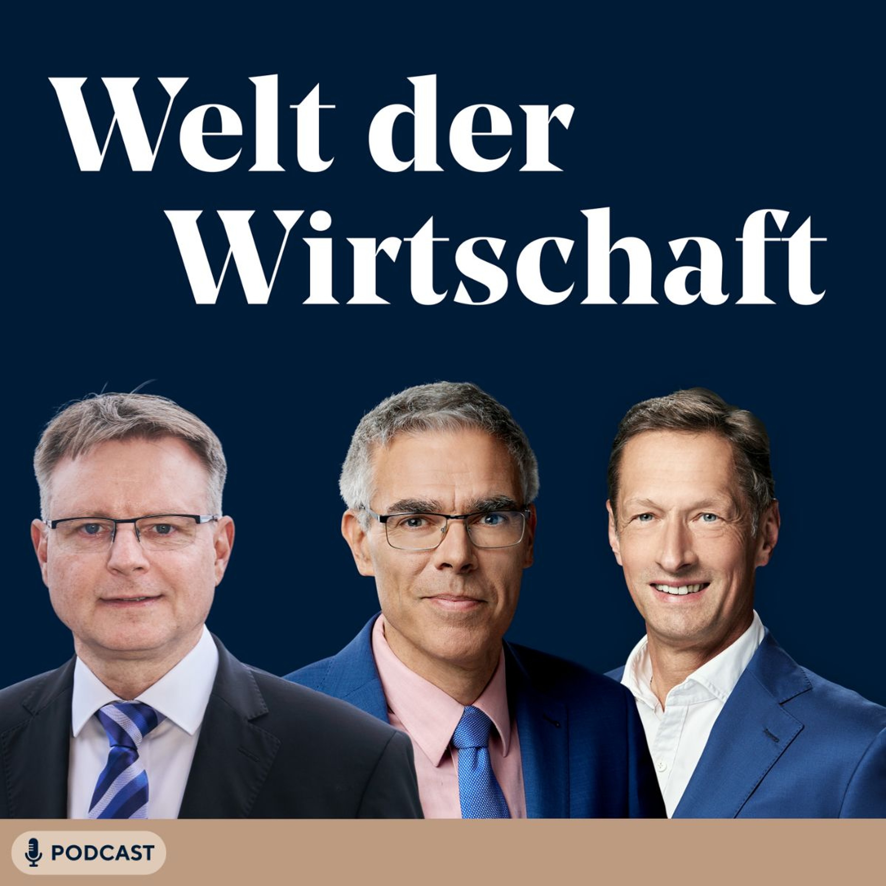 Welt Der Wirtschaft: Deutschland fit machen - Es gibt viel zu tun episode artwork