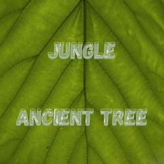 Jungle