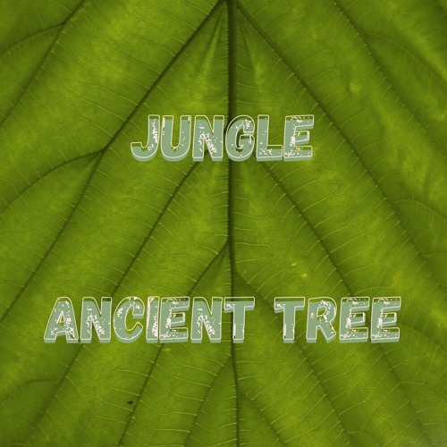 Jungle