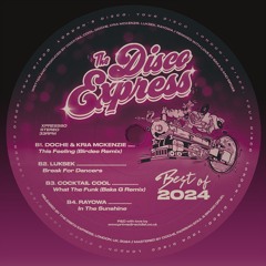 PREMIERE: Rayowa - In The Sunshine [The Disco Express]