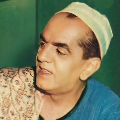 محمد عبد المطلب