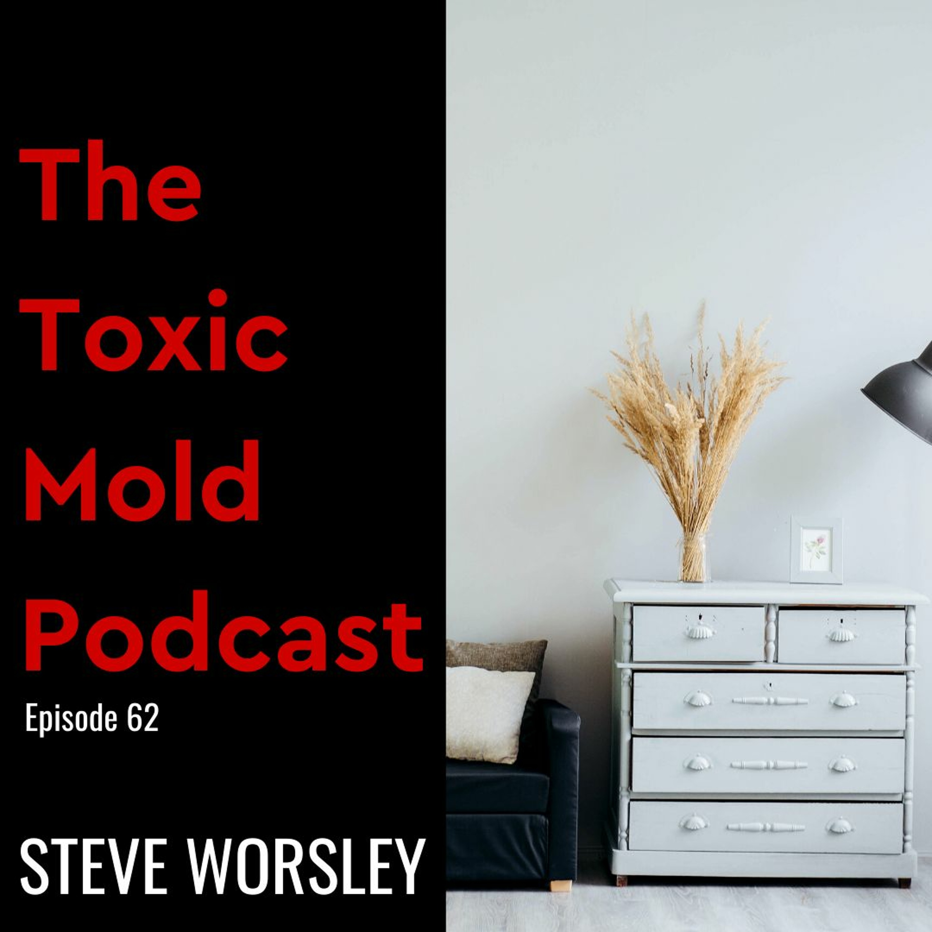 The Toxic Mold Podcast